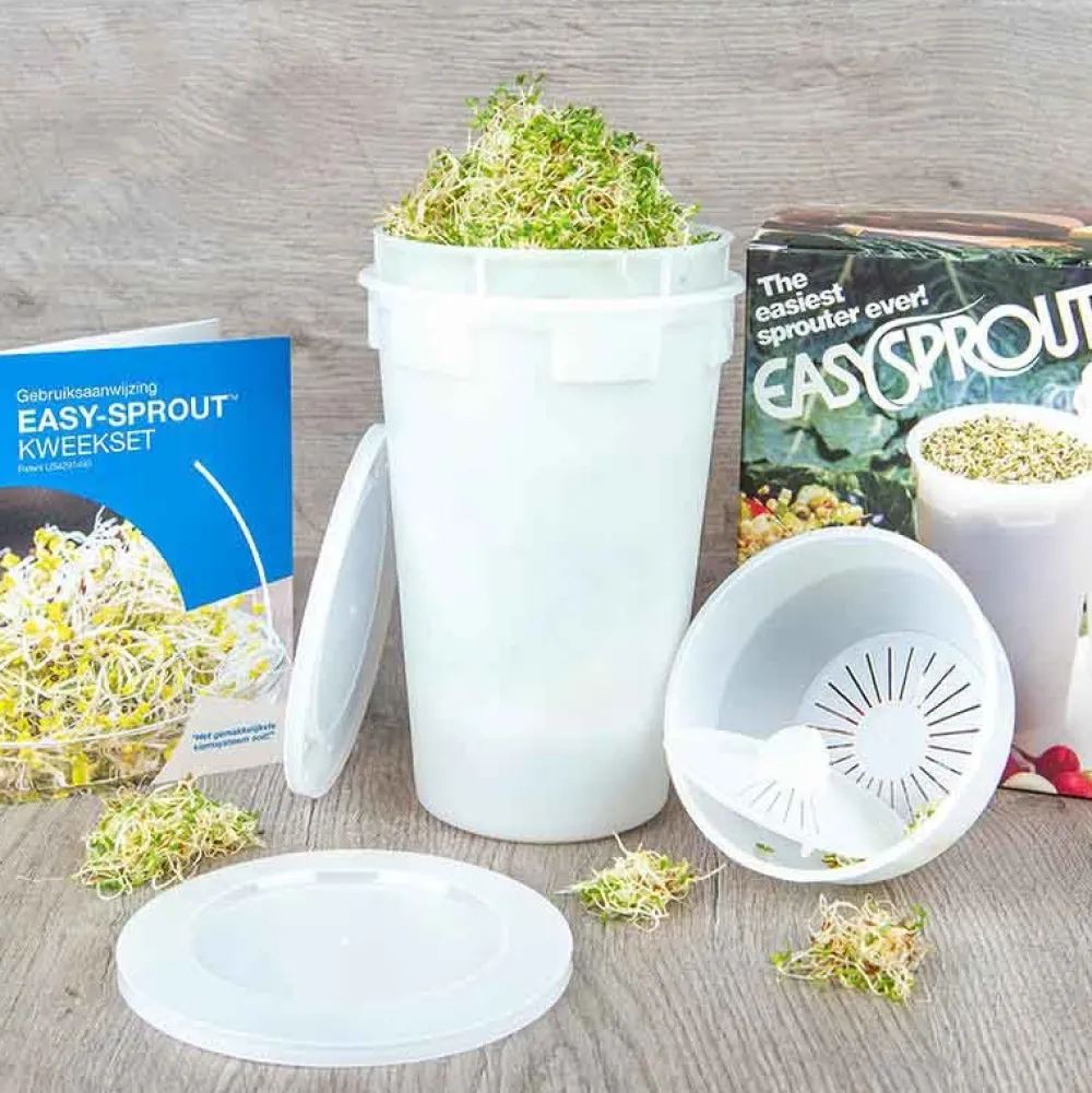 De Bolster Kiemgroenten>Alfalfa - Kiemgroente - 50g - BIO