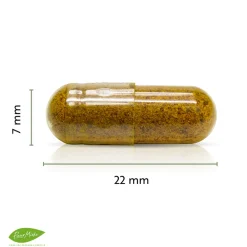 Puur Mieke Stress|Immuunsysteem><noscript><img width=