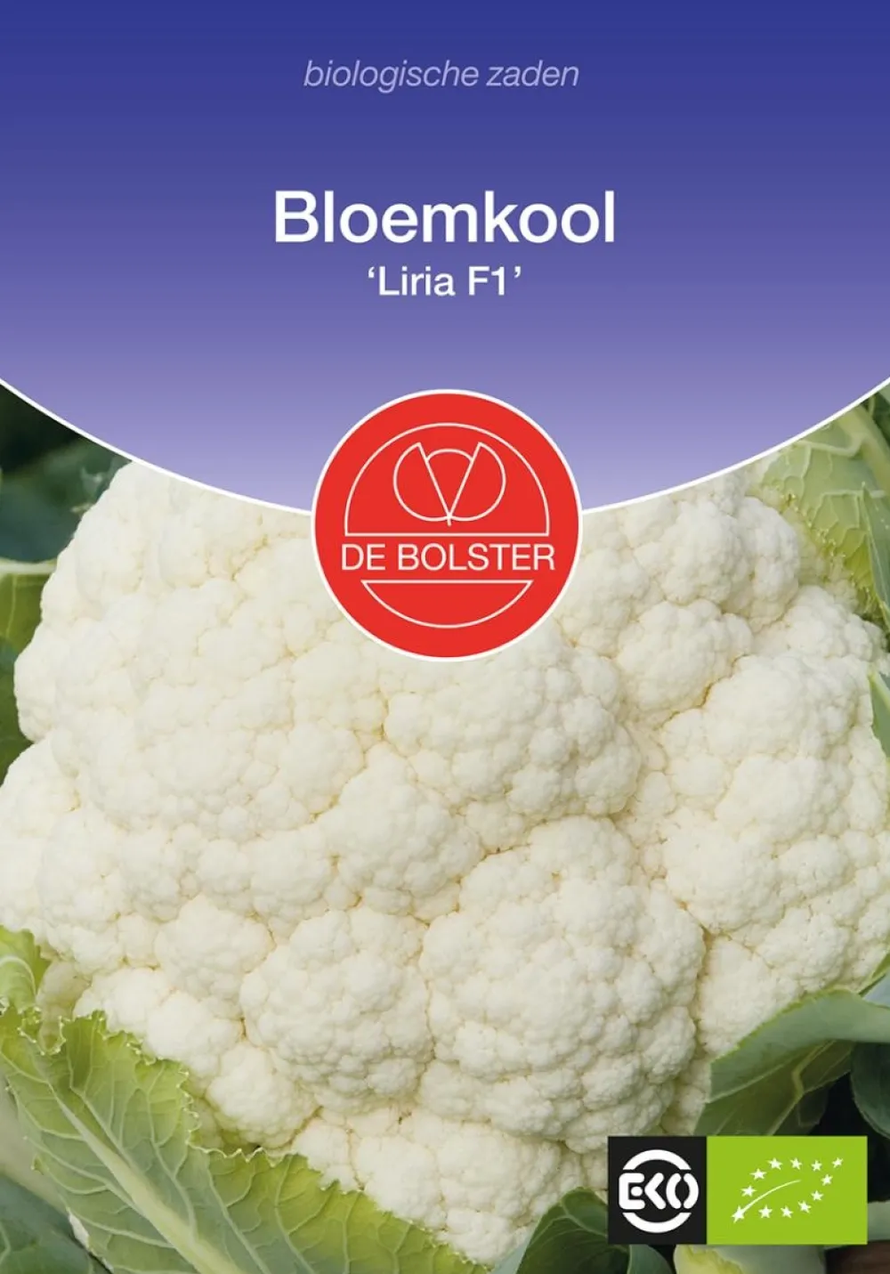 De Bolster Groenten|Koolgewassen>Bloemkool 'Liria F1' - 25 zaden - BIO