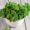 De Bolster Koolgewassen|Groenten>Boerenkool ‘Westlandse Winter’ - 1g - BIO