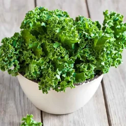 De Bolster Koolgewassen|Groenten>Boerenkool ‘Westlandse Winter’ - 1g - BIO