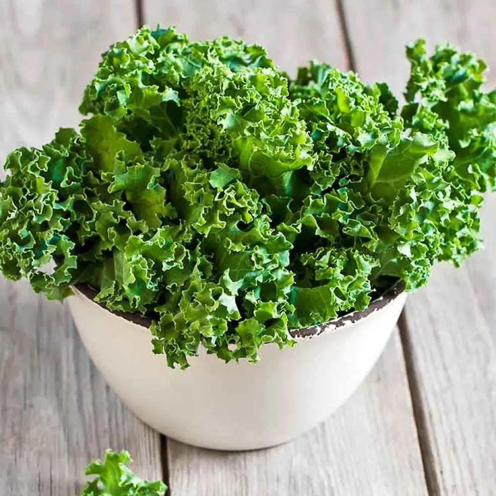 De Bolster Koolgewassen|Groenten>Boerenkool ‘Westlandse Winter’ - 1g - BIO