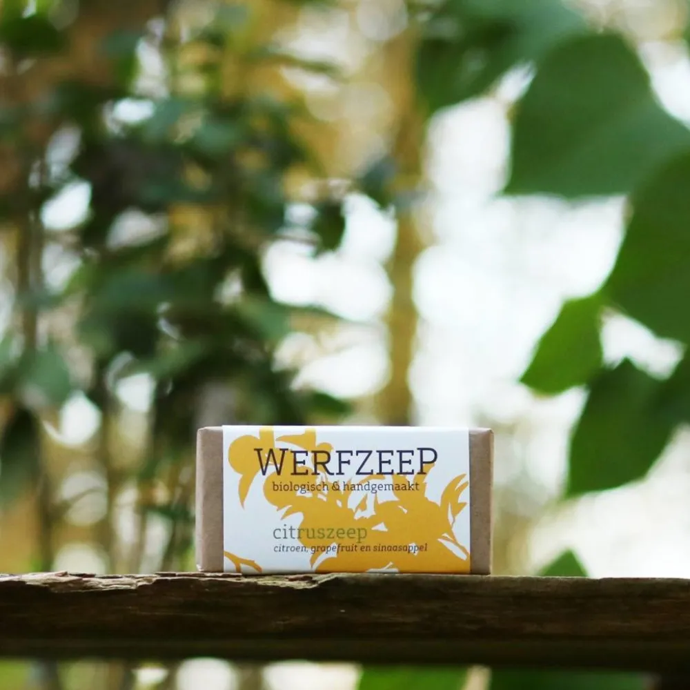 Werfzeep Reiniging|Hand- / Lichaamszeep>Citruszeep Biologische Zeep - 100gr
