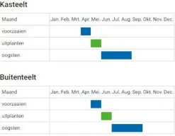 De Bolster Vruchtgewassen|Groenten>Courgette ‘Zucchini’ - 3g - BIO