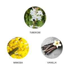 FiiLiT Parfum><noscript><img width=