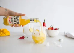 Nix & Kix Sap & Frisdranken>Frisdrank Mango-Ginger - 250ml