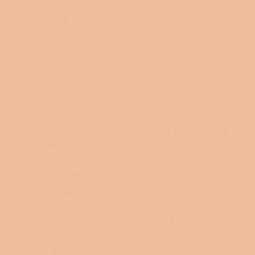 INIKA Gezicht/Concealer>Full Coverage Concealer - Vanilla - 3.5g - BIO