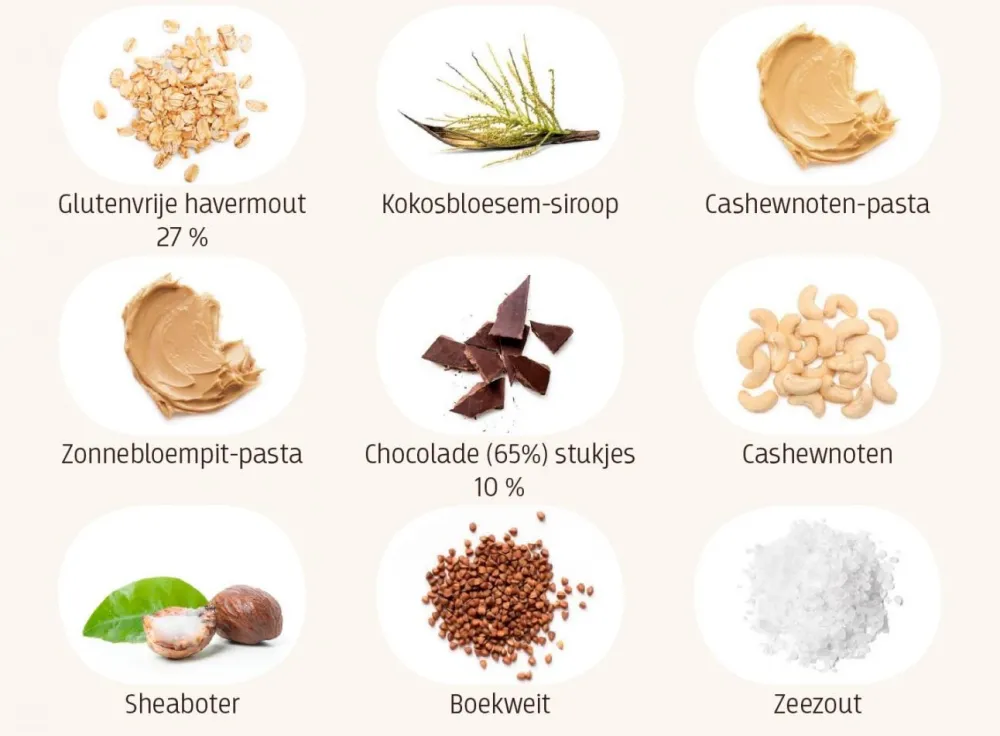Lifefood Repen|Energierepen>Haverreep Chocolate Chip - 40g - BIO