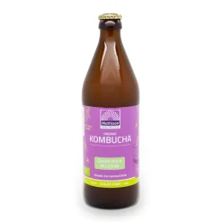 Mattisson Darmen|Paleo Aip>Kombucha Groene Thee & Bloesem - 500ml - BIO