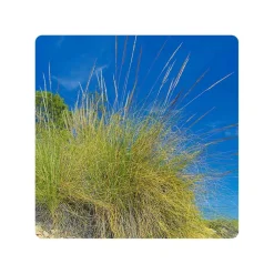 Eco-schuursponsjes Afwassponsjes, Doekjes En Borstels|Afwasborstels, Doekjes En Sponsjes><noscript><img width=