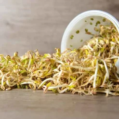 De Bolster Kiemgroenten>Taugé - Kiemgroente - 25g - BIO