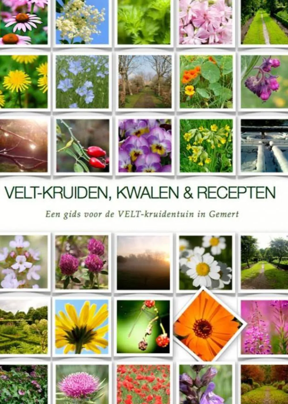 Velt-kruiden Informatieve Boeken>, kwalen & recepten
