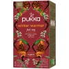 Pukka Thee>Winter Warmer - Kruidenthee - BIO